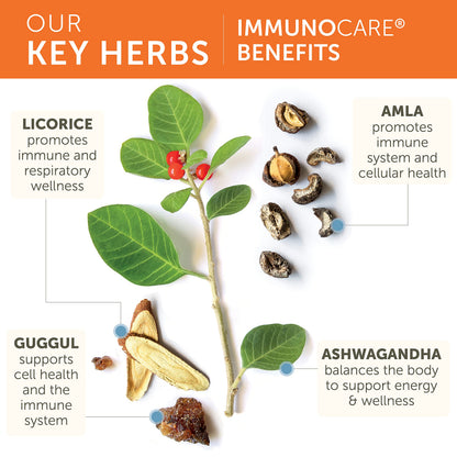 Himalaya ImmunoCare 60 Day Supply – Herbal Immune Support (Ashwagandha & Amla) | Vegan
