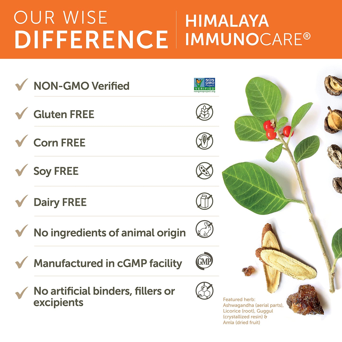 Himalaya ImmunoCare 60 Day Supply – Herbal Immune Support (Ashwagandha & Amla) | Vegan