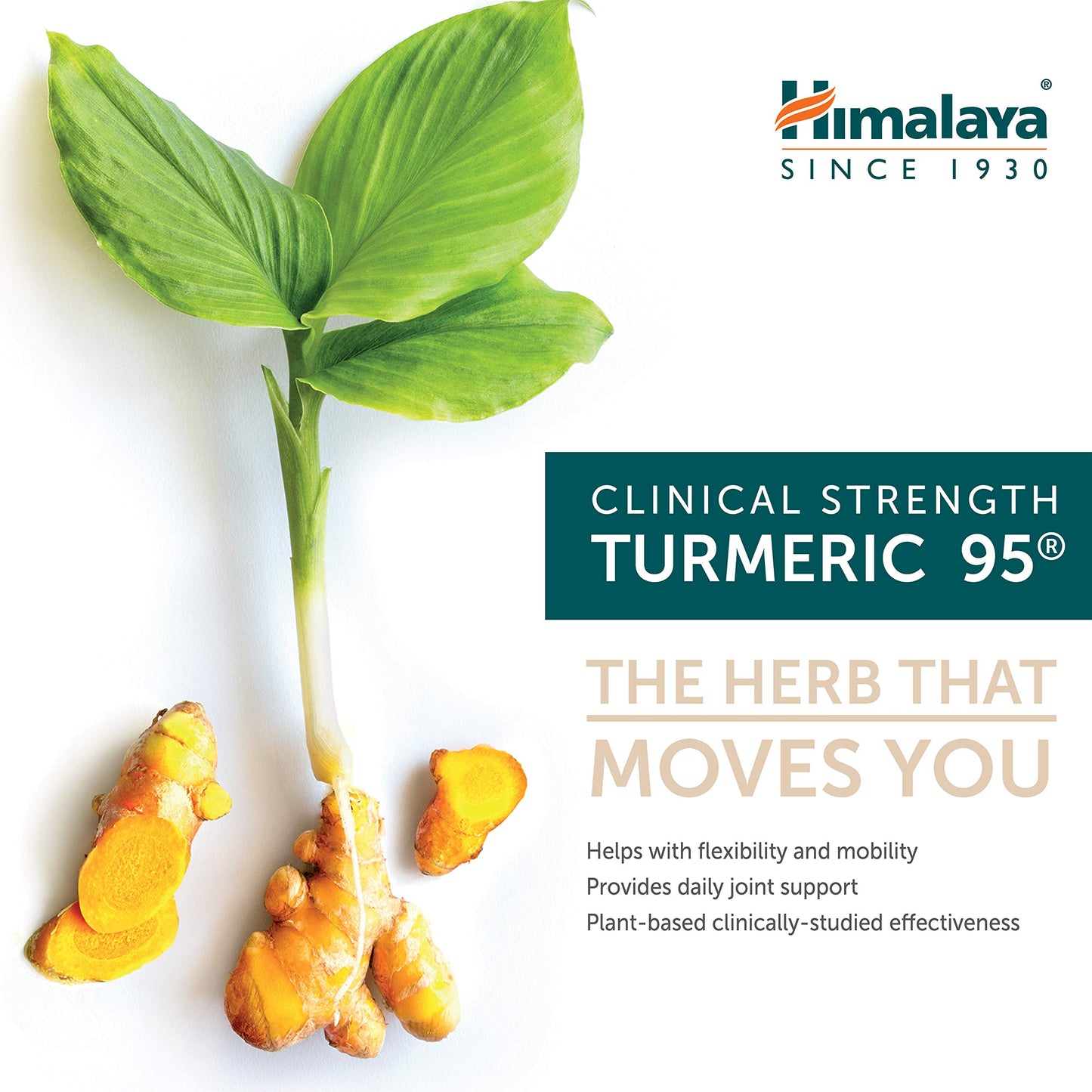 Himalaya Turmeric 95 – 600 mg, 30 Capsules | Joint Support, 95% Curcuminoids