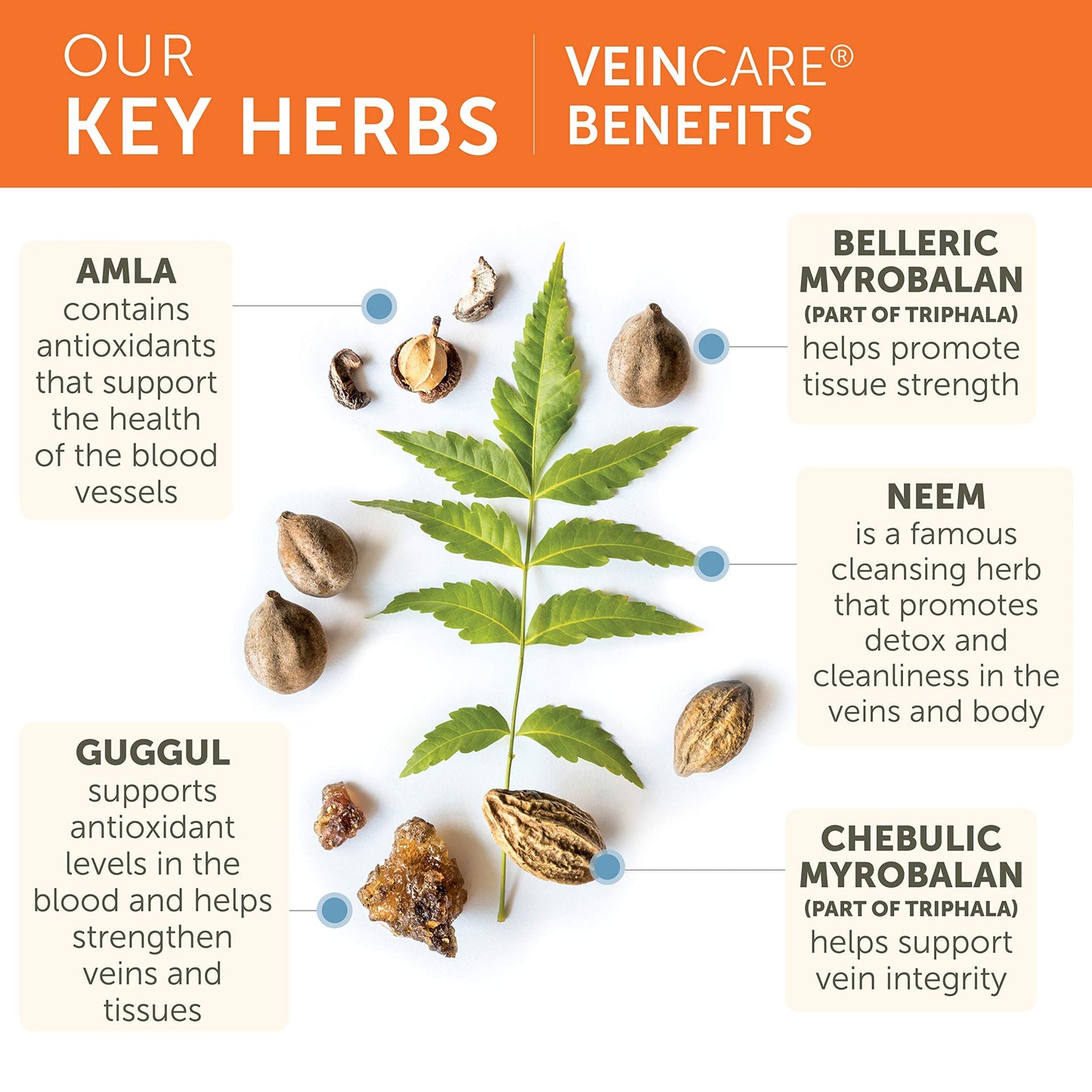 Himalaya VeinCare - Herbal Vein Support for Circulation & Rectal Comfort | Vegan