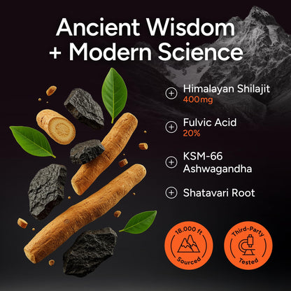 Himalayan Shilajit Gummies with KSM-66 Ashwagandha – Energy Support 60ct