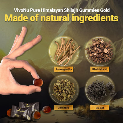 Himalayan Shilajit Gummies with Ashwagandha & Gokshura | 85+ Trace Minerals & Fulvic Acid | Organic, Non-GMO
