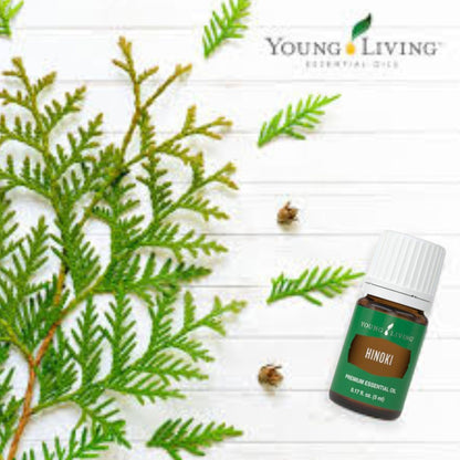 Young Living Hinoki Essential Oil 5 ml | Refreshing & Calming Ambiance for Work, Study, Meditation