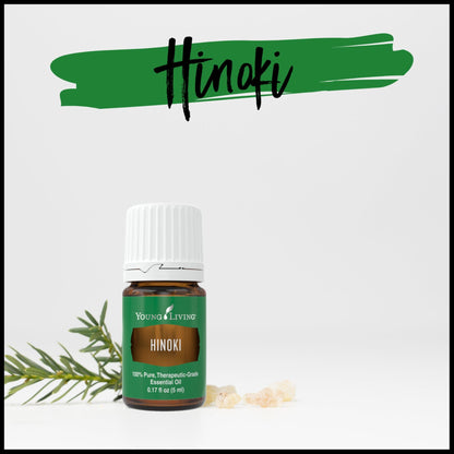Young Living Hinoki Essential Oil 5 ml | Refreshing & Calming Ambiance for Work, Study, Meditation