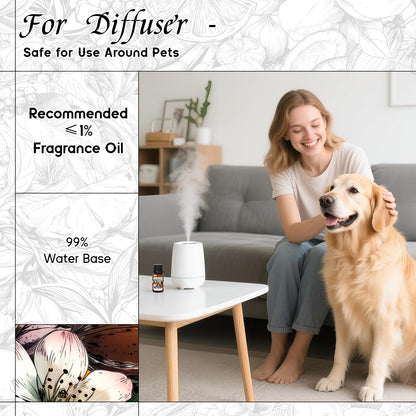 HIQILI Grey Vetiver Diffuser Oil – Fast Diffusion for Large Spaces, Pet-Safe, 0.34 Fl Oz
