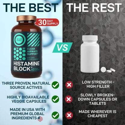 Histamine Block Flavonoids Supplements – Quercetin, Nettle & Artemisia – Seasonal Allergy Support – 60 Caps