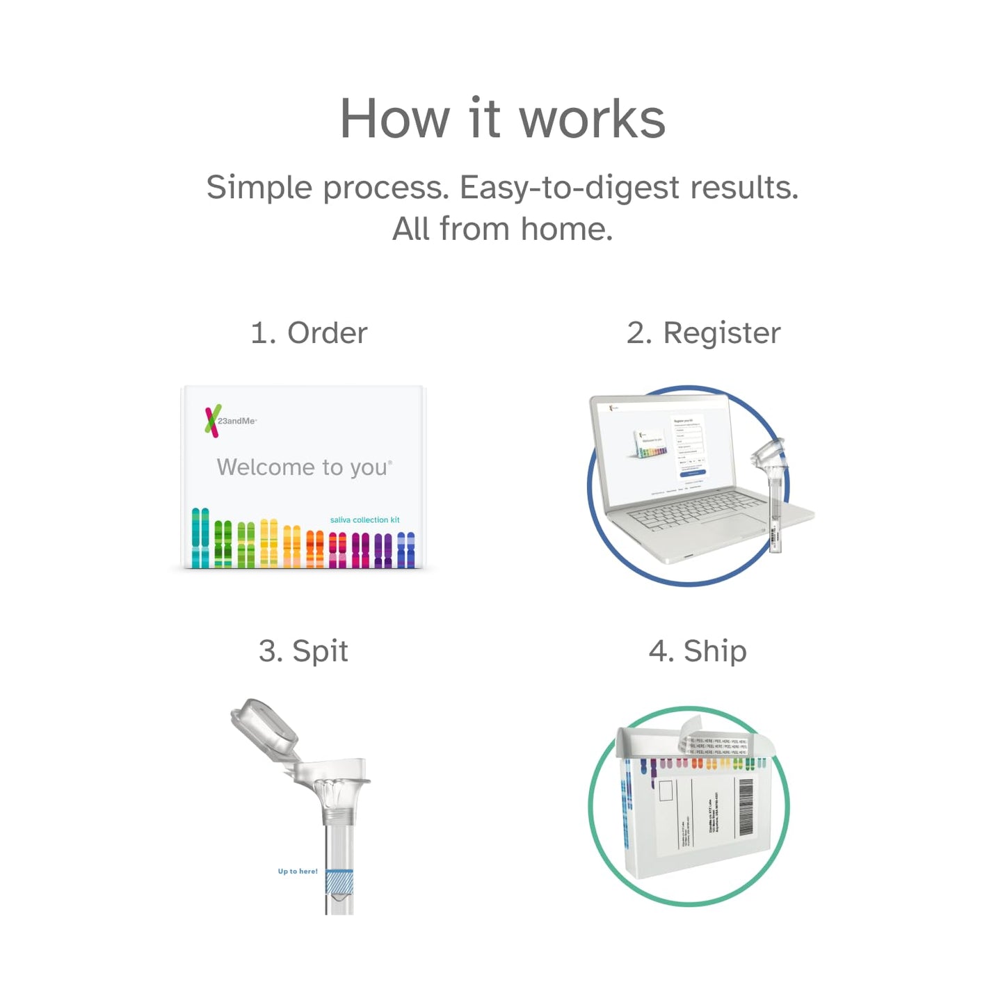 23andMe+ Premium Membership Bundle – DNA Kit with Health & Ancestry Insights + 1-Year Exclusive Reports
