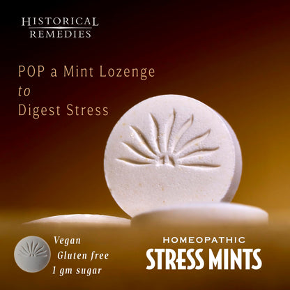 Historical Remedies Stress Mints (6 Pack) - Homeopathic Lozenges for Stress & Digestion | Organic Peppermint