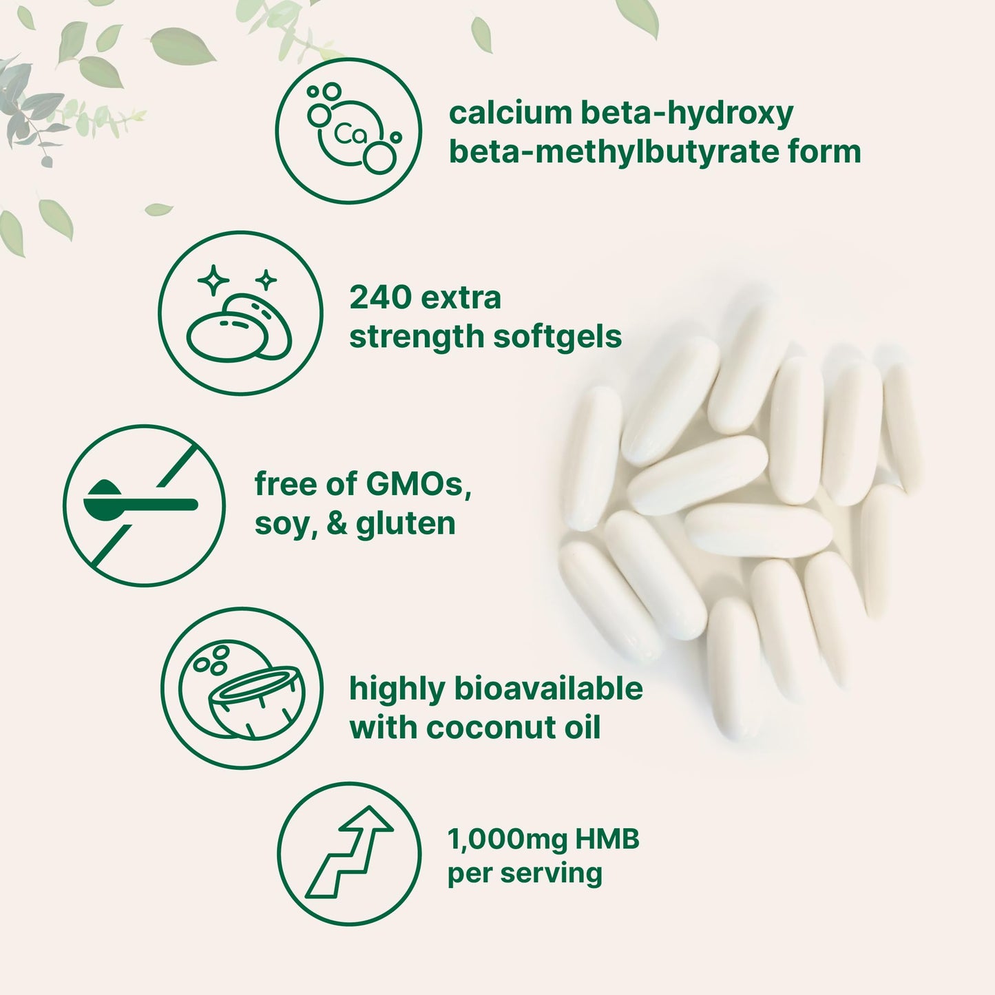 HMB 1,000mg | 240 Softgels with Coconut Oil | Highly Bioavailable | HMB Supplements for Men & Women