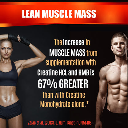 Creatine HCl Capsules with HMB – Muscle, Endurance & Strength | 180 Vegan Capsules