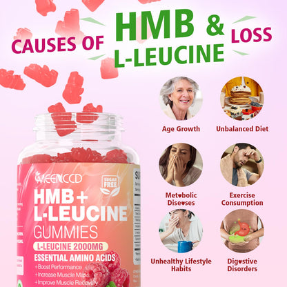 2 Pack HMB + L-Leucine Gummies – 3000mg for Muscle Growth & Recovery, Sugar-Free Raspberry, 120 Count