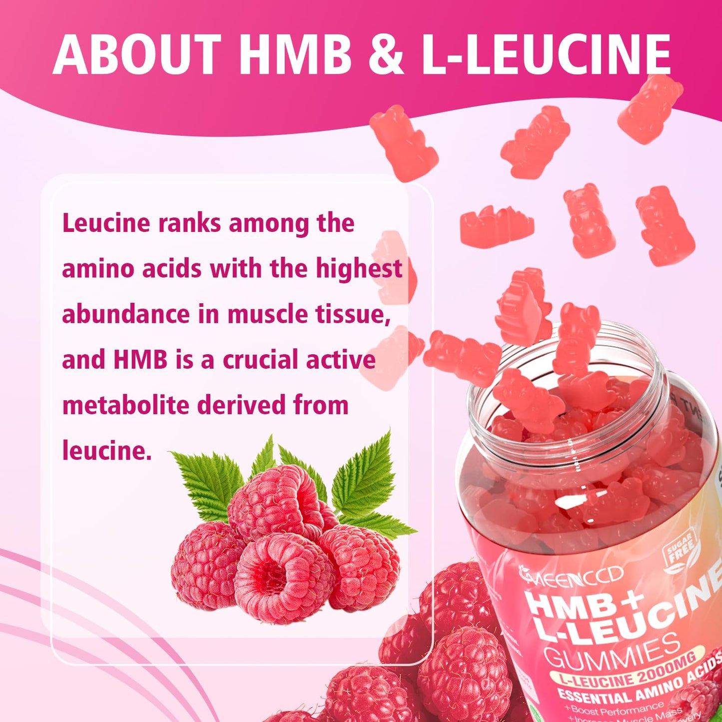 2 Pack HMB + L-Leucine Gummies – 3000mg for Muscle Growth & Recovery, Sugar-Free Raspberry, 120 Count