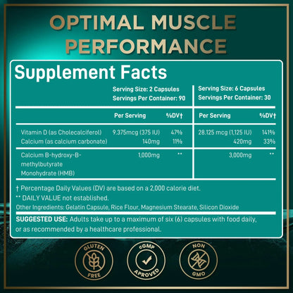 WILD FUEL HMB + Vitamin D3 Capsules – 360 Caps, 1,000–3,000 mg HMB BritishVita | Premium UK Vitamins & Wellness Supplements