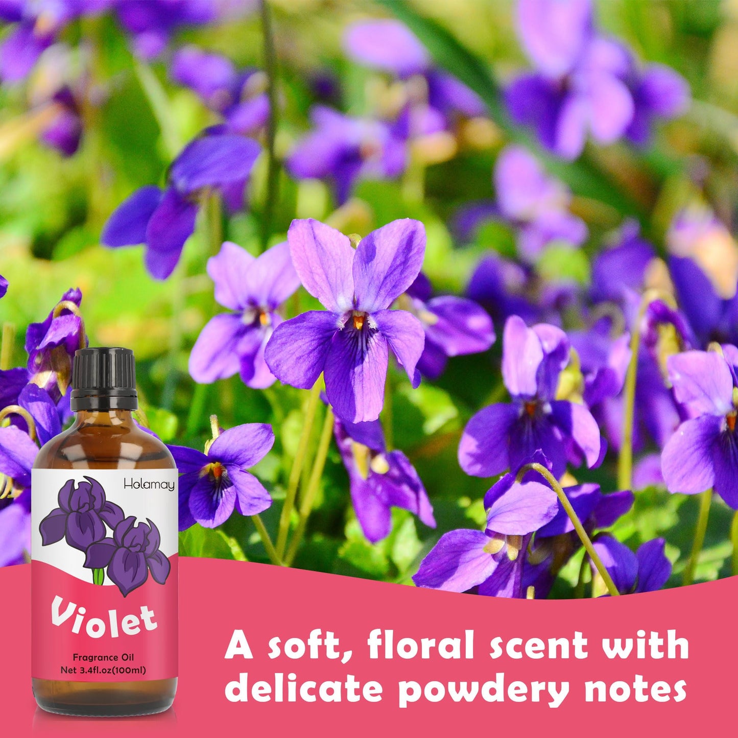 Holamay Violet Fragrance Oil – 100 ml Premium Floral Scent for Candles, Soaps & Diffusers