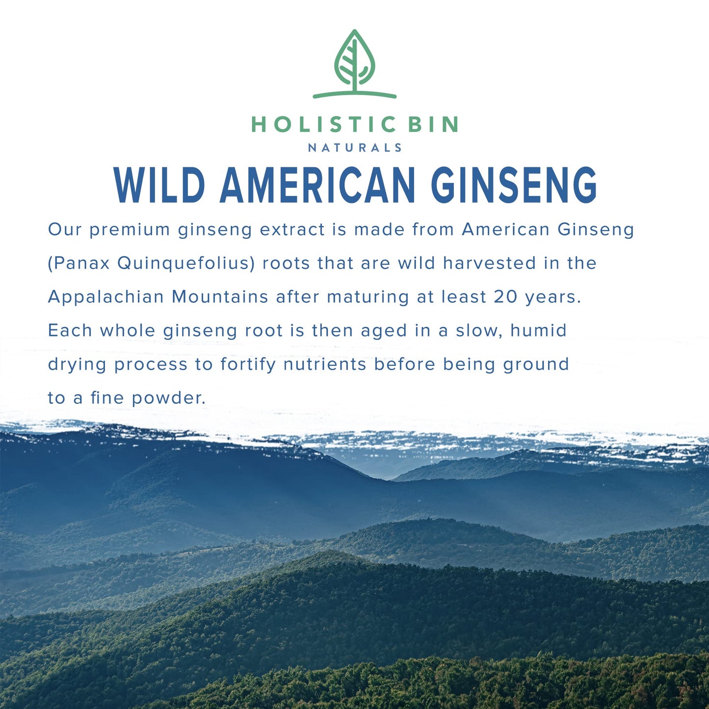 Holistic Bin Wild American Ginseng Powder – Pure Organic Ginseng (20+ Year Roots) 25g