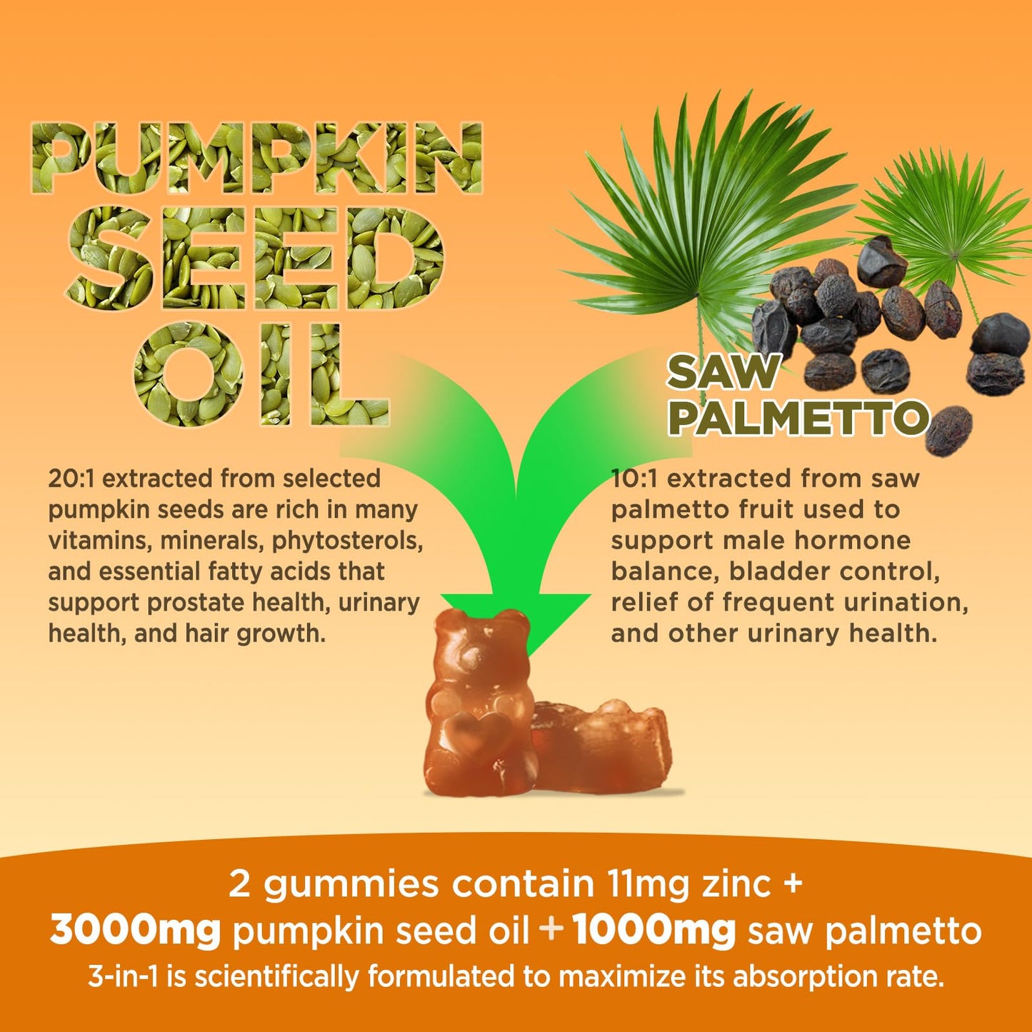 HOLLEGEND Pumpkin Seed Oil Gummies with Saw Palmetto – Hair & Prostate Health