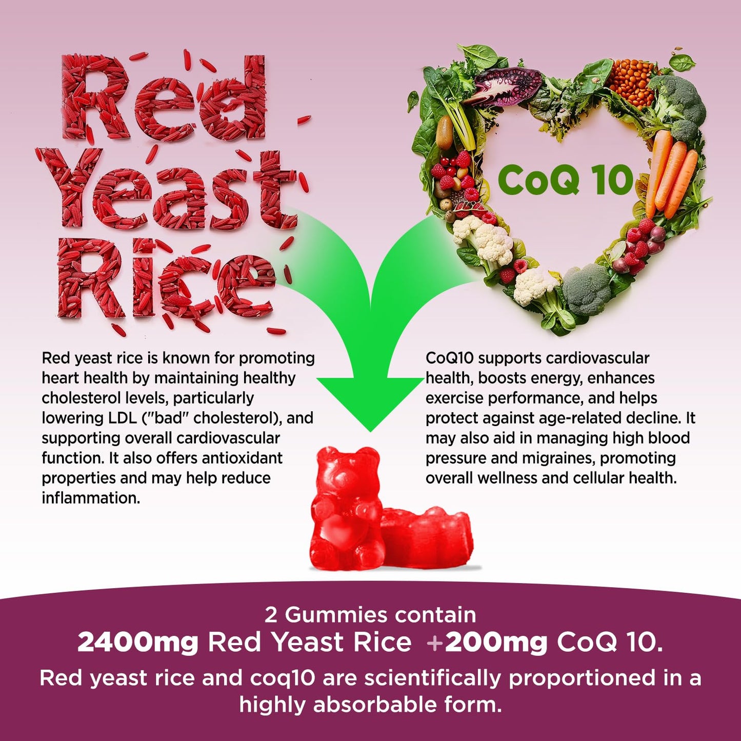 Hollgend Red Yeast Rice with CoQ10 Gummies - Sugar Free, Organic 2400mg Red Yeast Rice + 200mg CoQ10, 60 Chewables