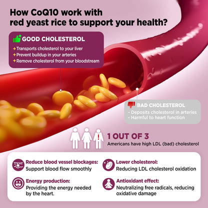 Hollgend Red Yeast Rice with CoQ10 Gummies - Sugar Free, Organic 2400mg Red Yeast Rice + 200mg CoQ10, 60 Chewables
