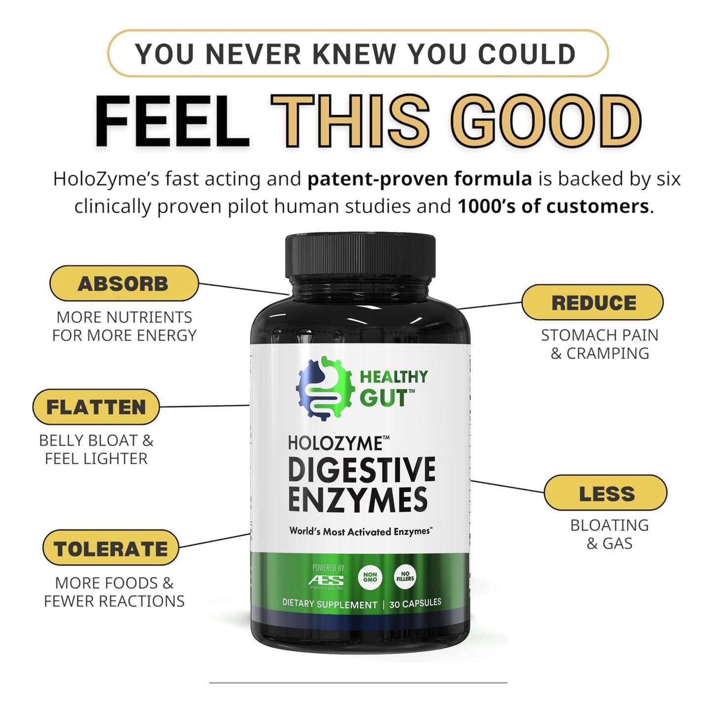 Healthy Gut HoloZyme Max Strength Digestive Enzymes – 15 Servings