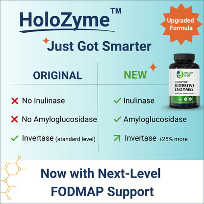 Healthy Gut HoloZyme Max Strength Digestive Enzymes – 15 Servings