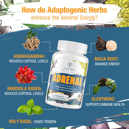 Adrenal Support Adaptogens – Cortisol Support with Rhodiola, Ashwagandha & Eleuthero | 60 Vegan Tablets