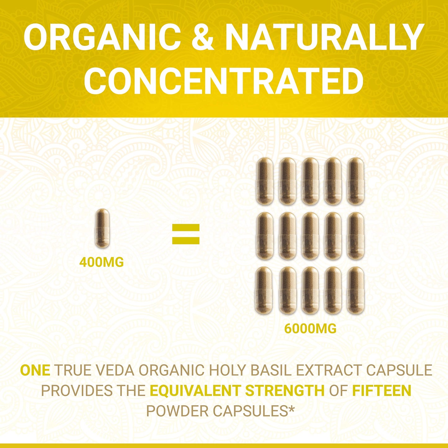 Holy Basil Capsules - USDA Organic Vitamin B6 | High Strength Tulsi 15:1 Extract | 60 Vegan Pills