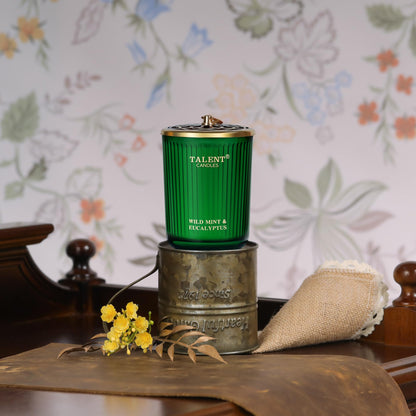 Jar Candles for Home Scent – Natural Soy 8.4oz (Wild Mint & Eucalyptus)