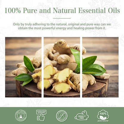 Ginger Essential Oil 30ML | PHATOIL Pure Essential Oil Singles for Aromatherapy, Diffusers, DIY Candles & Soaps