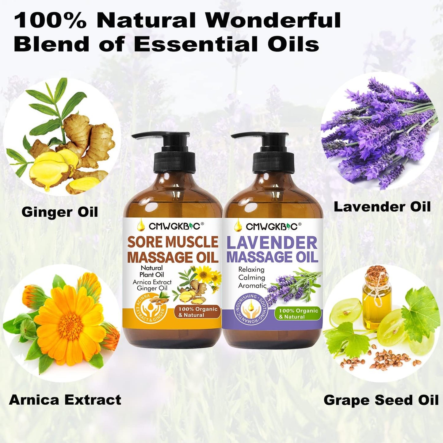 Massage Oil for Therapy - Ginger, Arnica & Lavender Oils