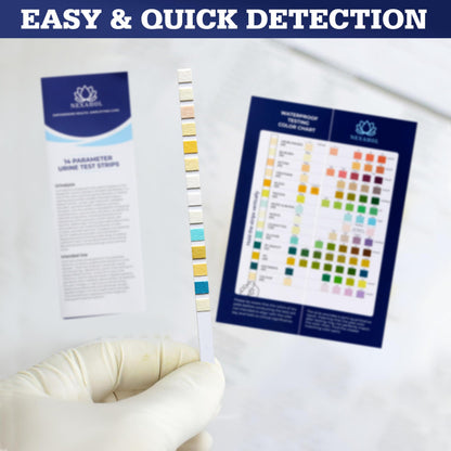 Urine Test Strips 14-Parameter Urinalysis – 100 Count Home UTI Test Strips