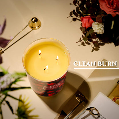 HomeLights 34oz 3-Wick Soy Wax Candle – Blackcherry Merlot Scent
