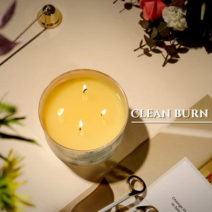 HomeLights Lavender Eucalyptus Soy Wax Candles | 4-Wick 18oz