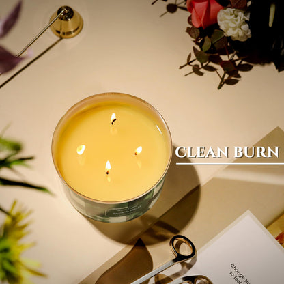 HomeLights Sage & Moss 18oz 4-Wick Scented Candle – Minimalist Design