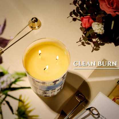 HomeLights 34oz Blueberry Cheesecake 3-Wick Candle | Aromatherapy & Rustic Modern Decor