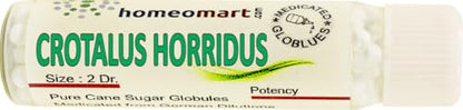 Crotalus Horridus Homeopathy Pellets 30C – Pack of 3 | Homeomart