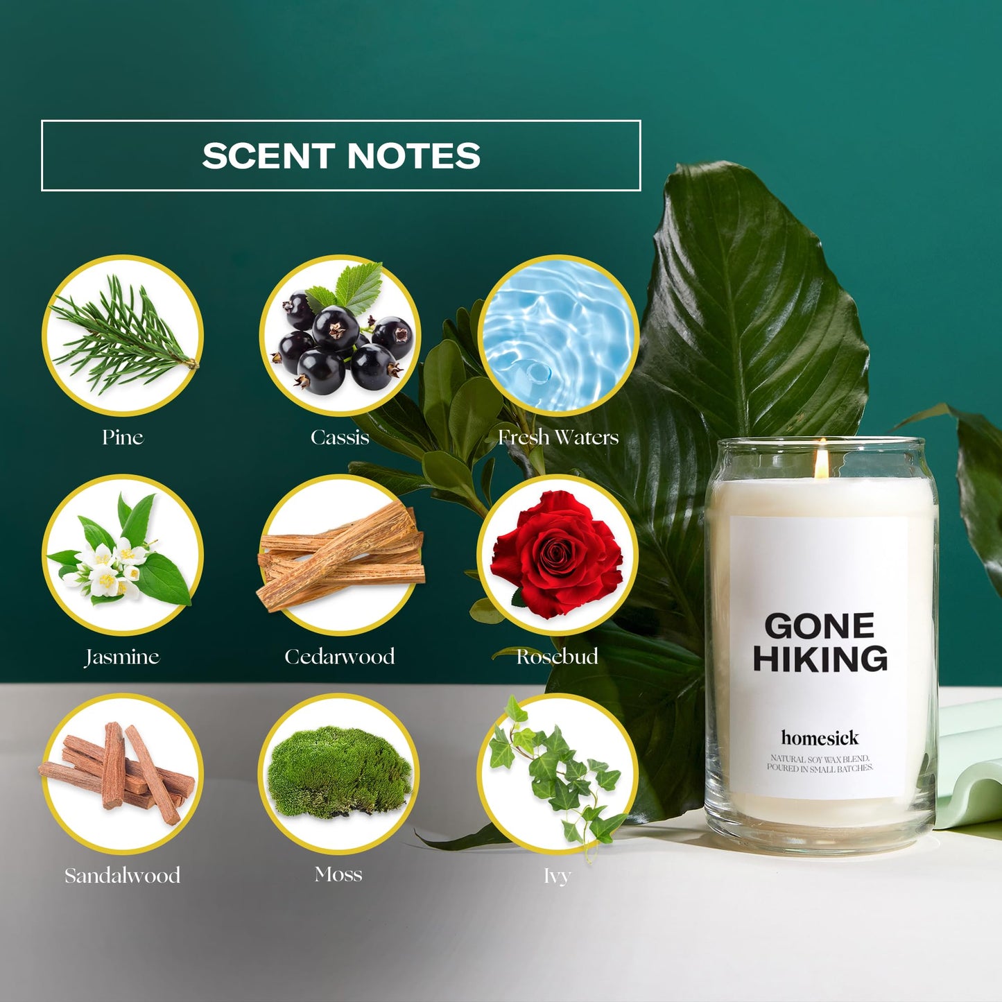 Homesick Gone Hiking Scented Candle – 13.75 oz, Pine, Jasmine & Sandalwood