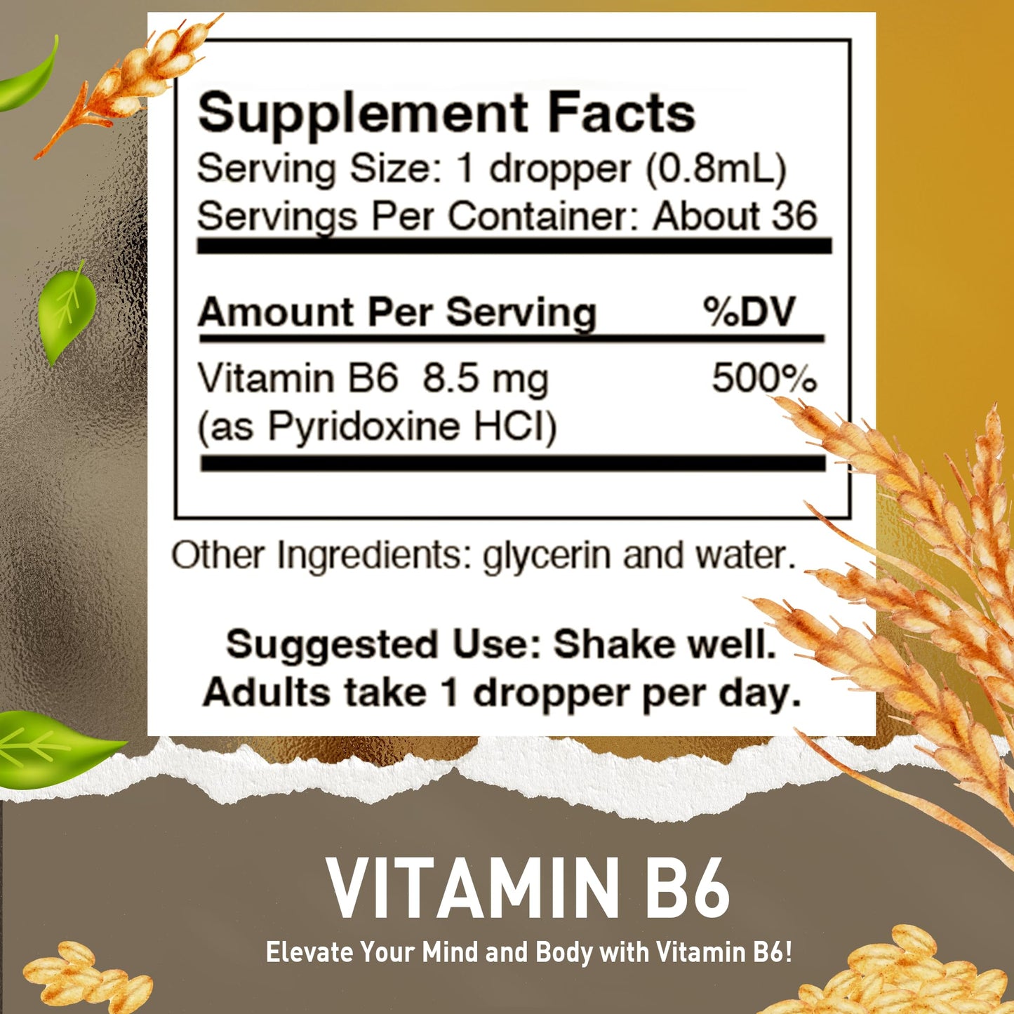 HoneyCombs Vitamin B6 Pyridoxine Liquid Drops – Made in USA, 500% DV per Serving, 36 Servings, Vegan