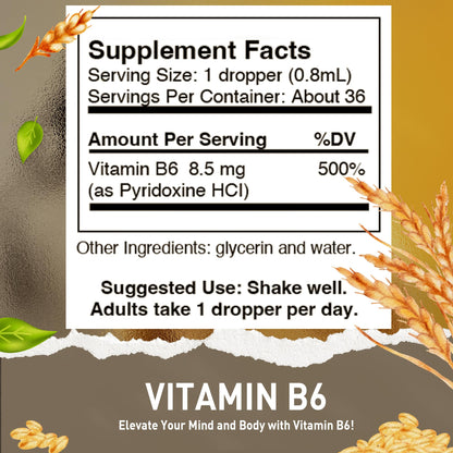HoneyCombs Vitamin B6 Pyridoxine Liquid Drops – Made in USA, 500% DV per Serving, 36 Servings, Vegan