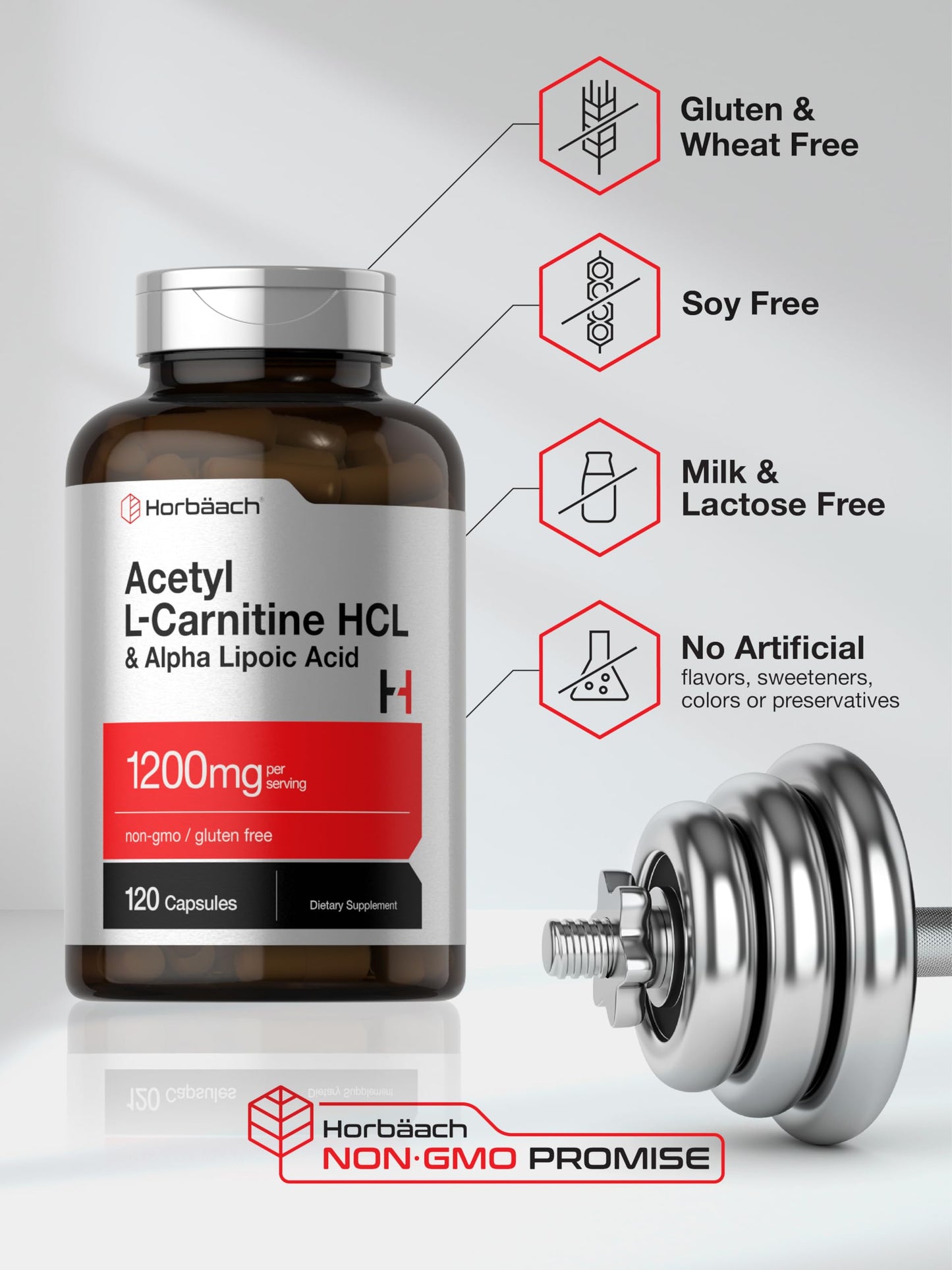 Horbäach Acetyl L-Carnitine HCL & Alpha Lipoic Acid 1200mg | 120 Capsules | ALC ALA Complex | Non-GMO & Gluten Free