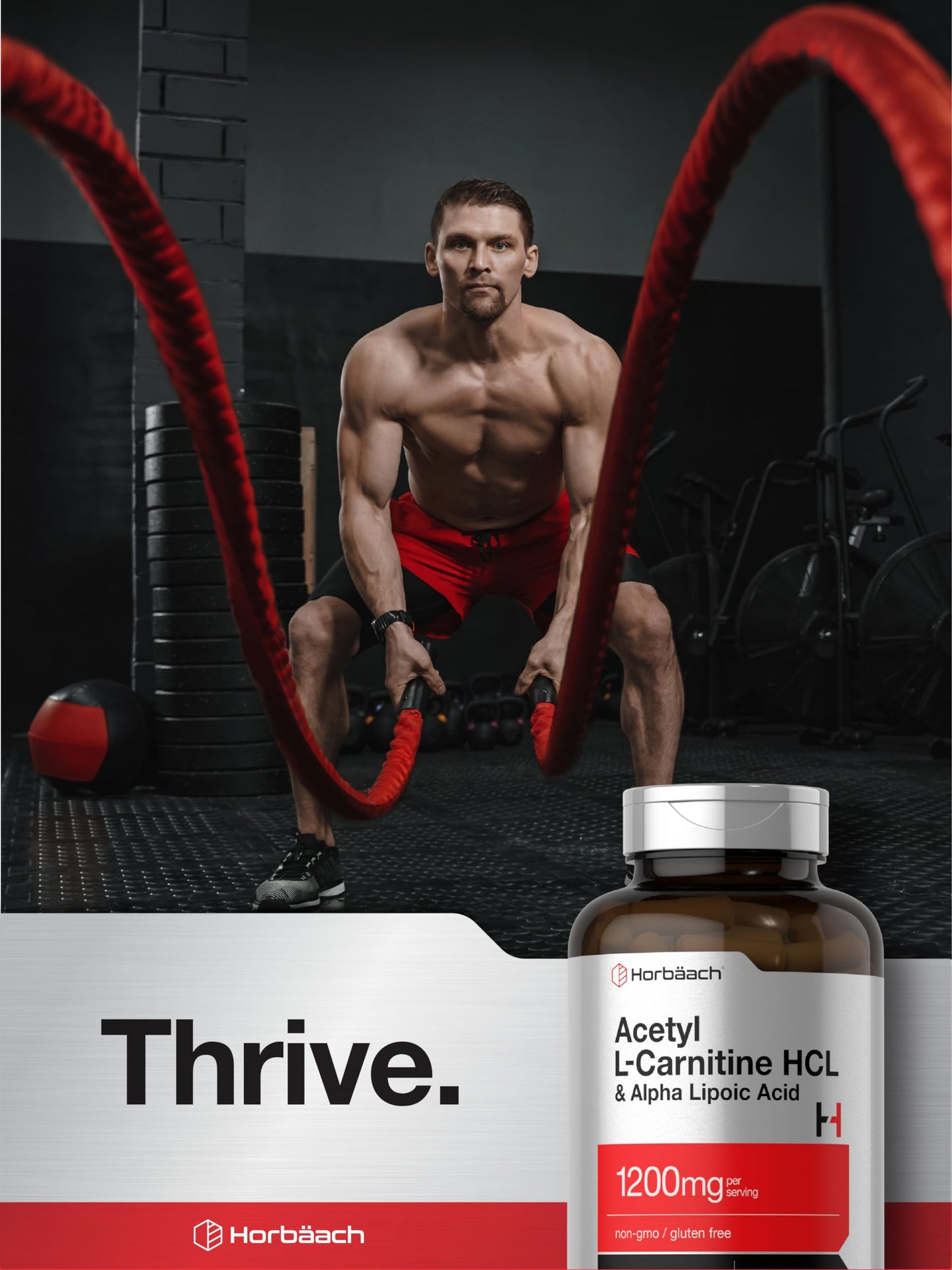 Horbäach Acetyl L-Carnitine HCL & Alpha Lipoic Acid 1200mg | 120 Capsules | ALC ALA Complex | Non-GMO & Gluten Free