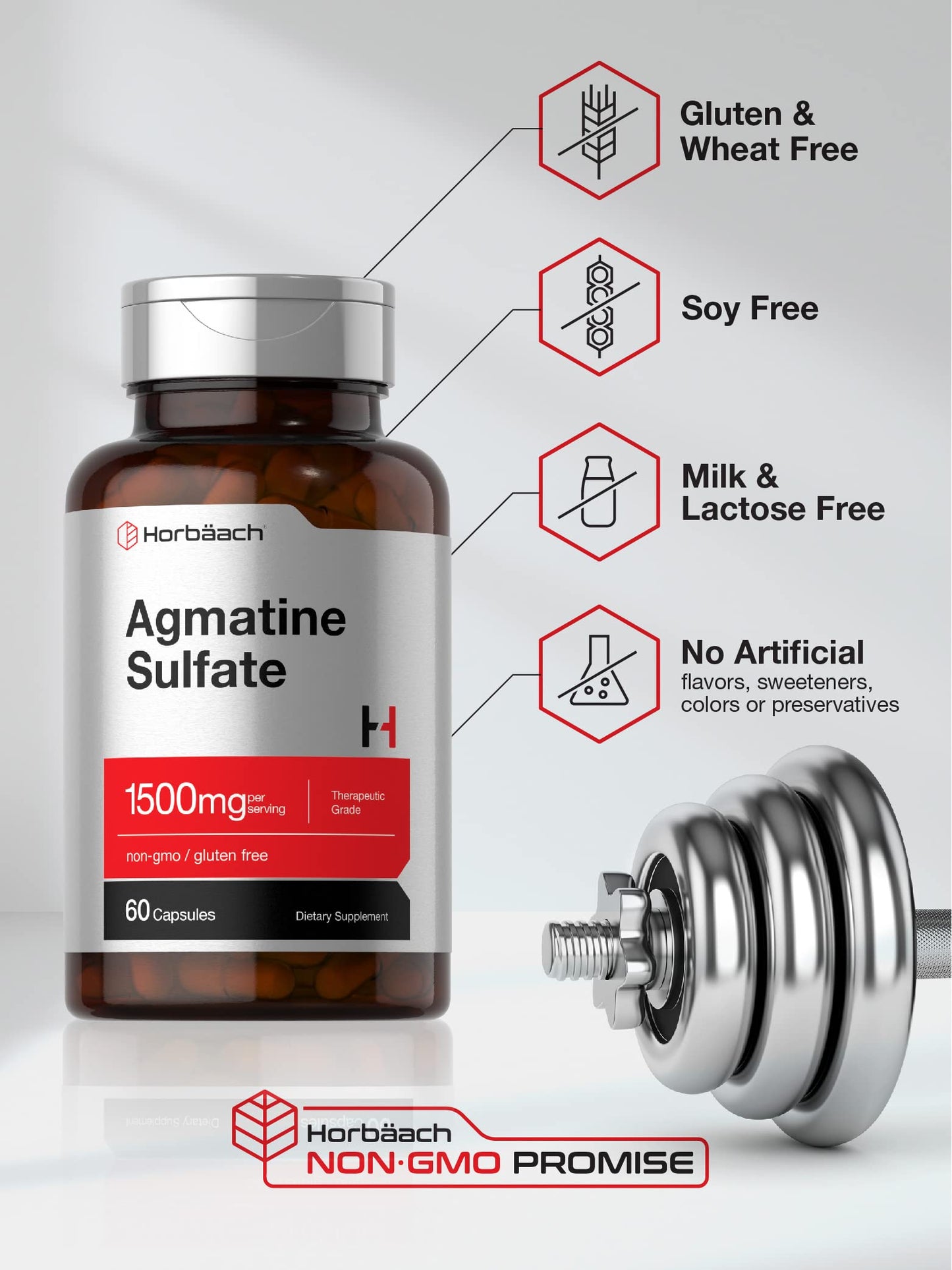 Horbäach Agmatine Sulfate Capsules 1500mg | 60 Count | Pharmaceutical Grade | Non-GMO, Gluten Free