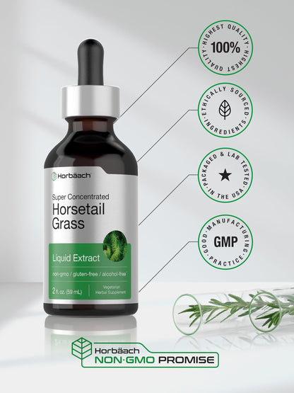 Horbaach Horsetail Liquid Extract - Alcohol Free, Gluten Free, Non-GMO | 2 fl oz