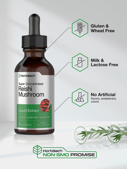 Horbäach Reishi Mushroom Extract Tincture – 2 Oz | Ganoderma Lucidum | Vegetarian, Alcohol Free, Non-GMO, Gluten Free