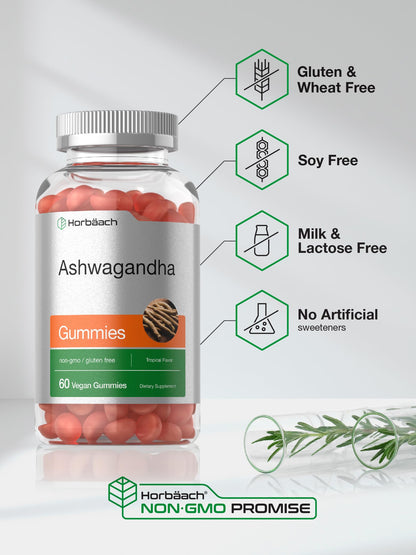 Horbäach Ashwagandha Gummies for Women and Men | 60 Count | Vegan, Non-GMO, Gluten Free Supplement | Tropical Flavor