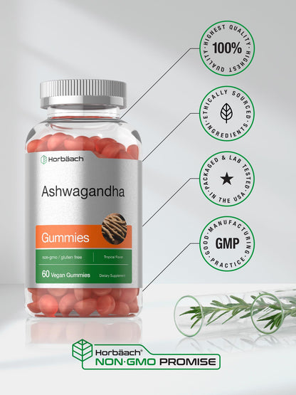Horbäach Ashwagandha Gummies for Women and Men | 60 Count | Vegan, Non-GMO, Gluten Free | Tropical Flavor (Pack of 2)