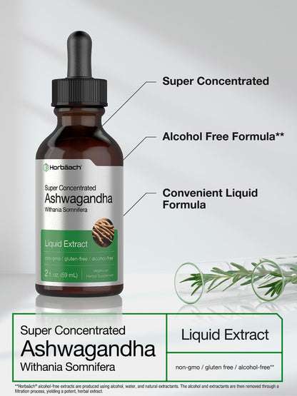 Horbäach Ashwagandha Liquid Drops - 2 Fl Oz | Alcohol-Free Tincture | Vegetarian, Non-GMO