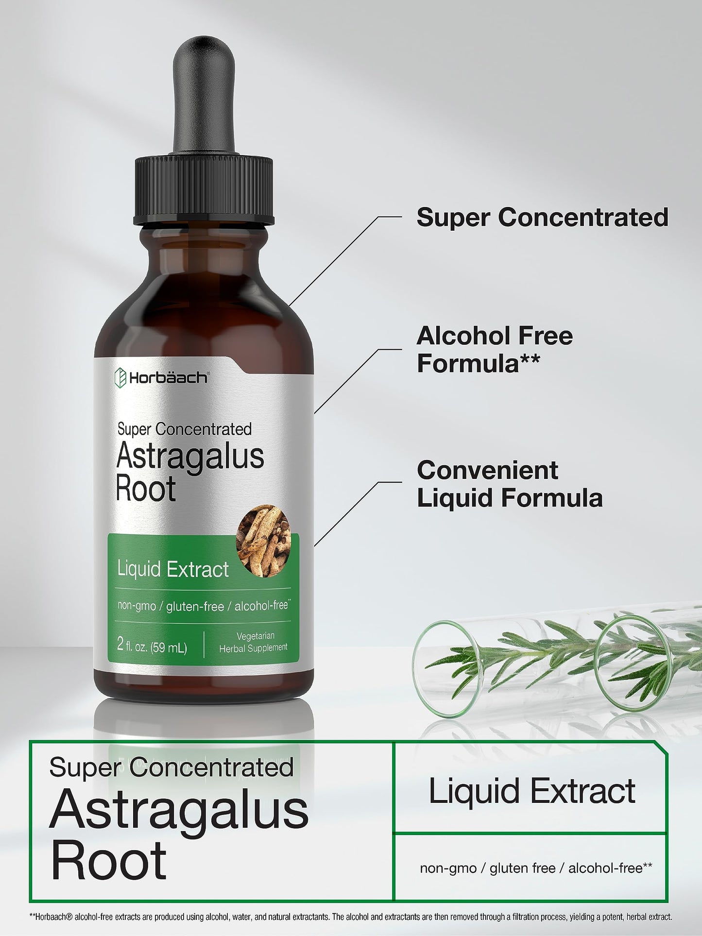 Horbäach Astragalus Root Extract Liquid - 2 fl oz | Alcohol-Free Tincture | Super Concentrated | Vegetarian, Non-GMO, Gluten Free
