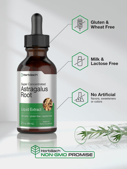 Horbäach Astragalus Root Extract Liquid - 2 fl oz | Alcohol-Free Tincture | Super Concentrated | Vegetarian, Non-GMO, Gluten Free