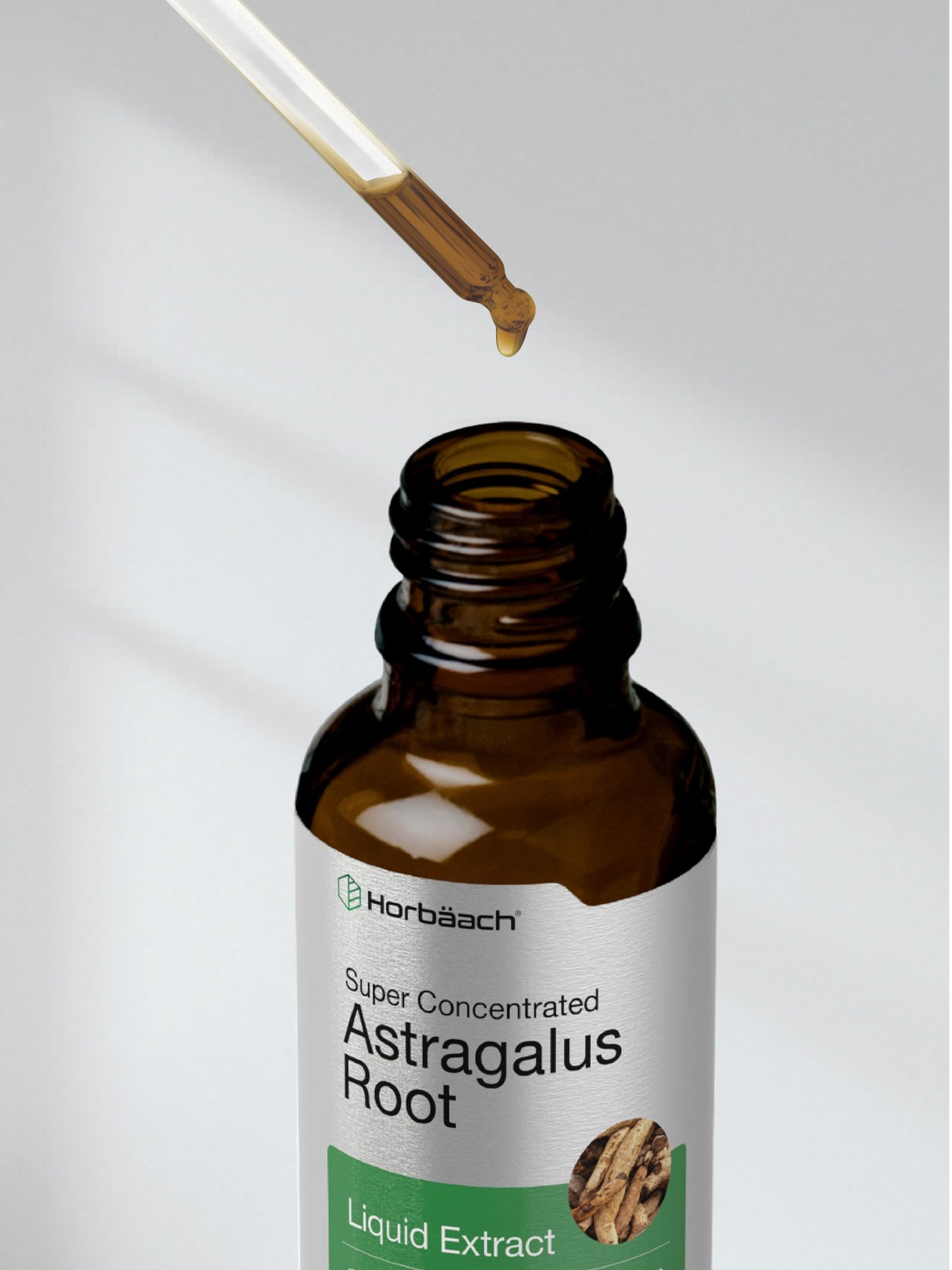 Horbäach Astragalus Root Extract Liquid - 2 fl oz | Alcohol-Free Tincture | Super Concentrated | Vegetarian, Non-GMO, Gluten Free