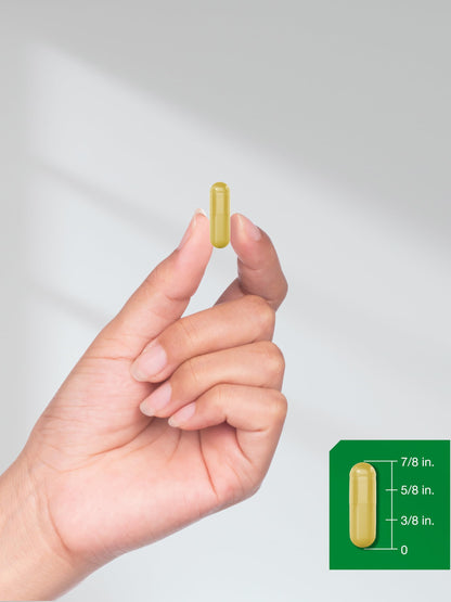 Horbäach Berberine with Ceylon Cinnamon | 2000mg | 120 Veggie Capsules | Vegetarian, Non-GMO & Gluten Free Supplement | Berberine Complex